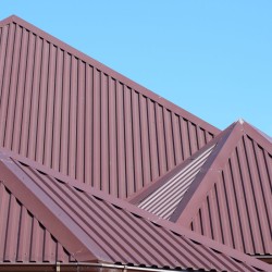 Weighing-in-the-Advantages-and-Disadvantages-of-Metal-Roofing-in-Dallas-TX