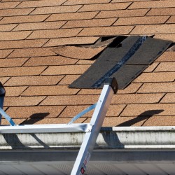 Five-Common-Roofing-Problems-You-May-Have-Come-Across-Where-Professional-Help-Is-Needed-Roofer-in-Dallas-TX