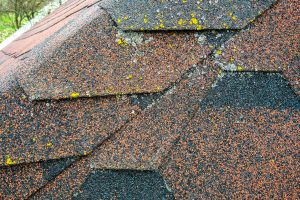 Raise-the-Roof-How-Roof-Coatings-Protect-Your-Roof-and-Why-Are-They-Cost-Effective-Roofers-in-Irving-TX